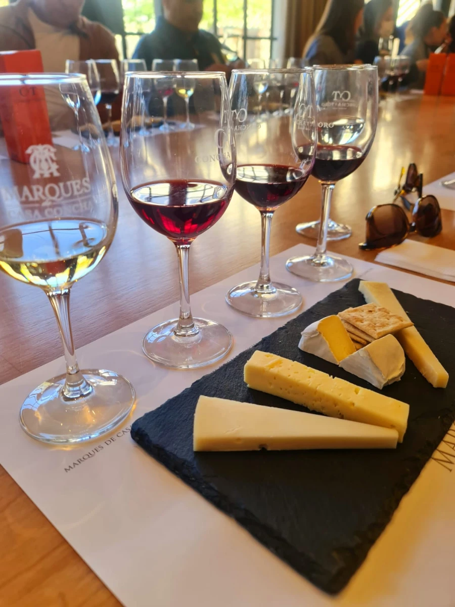 Concha y Toro Marques