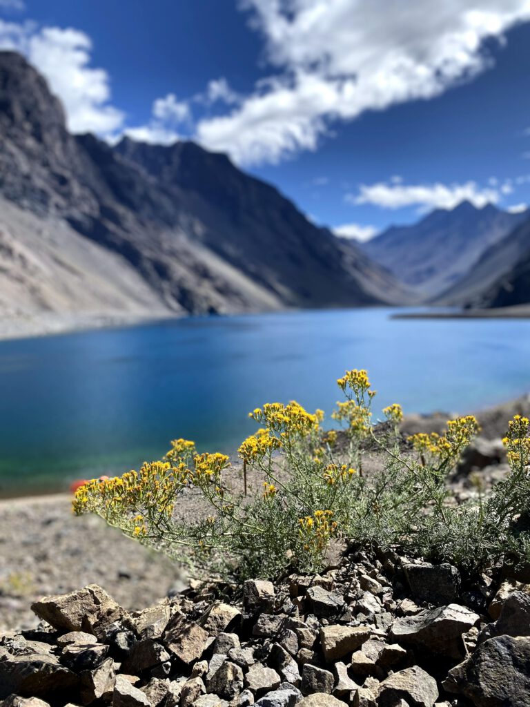 Portillo e Laguna Verão